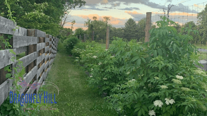 Dragonfly Hill Farm and Kitchen